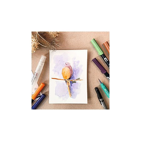 10170-Tombow WCS-NAT kit de manualidades para ninos