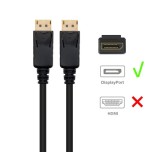 10194-Ewent EC1411 cable DisplayPort 2 m Negro