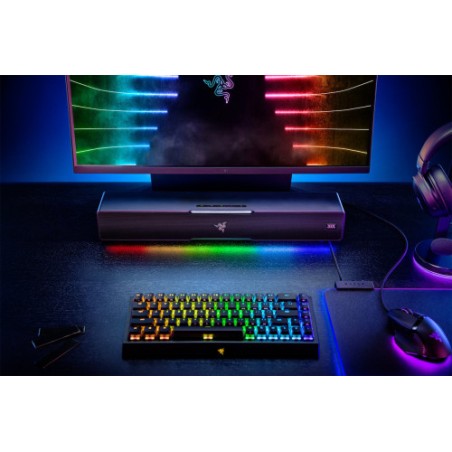 10490-Razer Leviathan V2 Negro 65 W