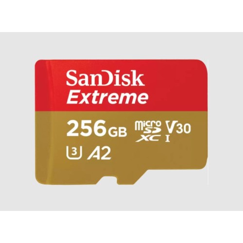 11287-SanDisk Extreme 256 GB MicroSDXC UHS-I Clase 3
