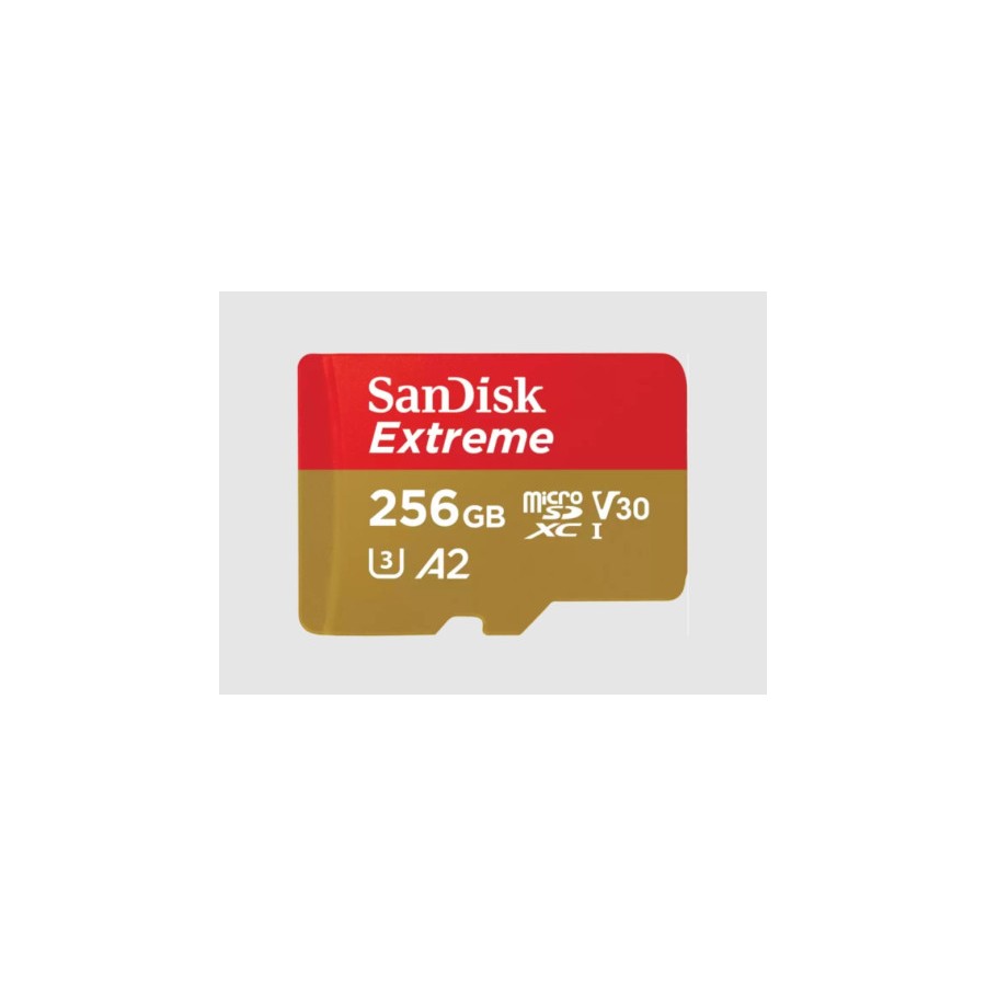 11287-SanDisk Extreme 256 GB MicroSDXC UHS-I Clase 3