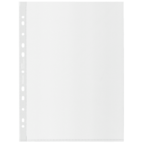 12038-CAJA 100 FUNDAS POLIPROPILENO MULTITALADRO REFORZADA PIEL NARANJA A4 RECYCLE 70 MICRAS ESSELTE 627493