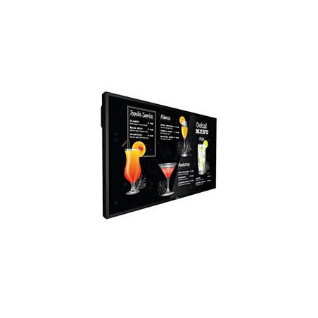 12608-MONITOR PHILIPS 50" P-LINE / PANEL IPS D-LED 16:9 / 3840X2160 750CD/M2 / 8MS / PIXEL PITCH 0.2854 X 0.2854 / VESA
