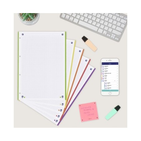 13016-RECAMBIO A4 100+20 HOJAS 90GRS 5X5 BANDA 5 COLORES VIVOS OXFORD 400148310