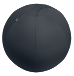 14649-Leitz Active Sitzball 55cm Gris Interior Esferico