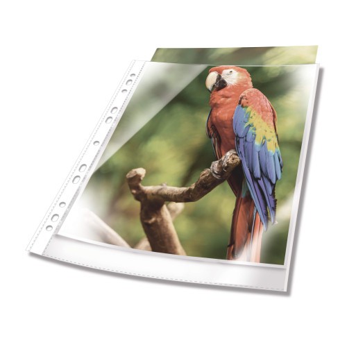 14665-Durable 265502 protector de hojas A4 Polipropileno (PP) 25 pieza(s)