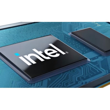 15137-INTEL PROCESSOR 300 2 CORES (2 P-CORES + 0 E-CORES) UP TO 3.9 GHZ SOP. GRAFICO BX80715300 99CG5K