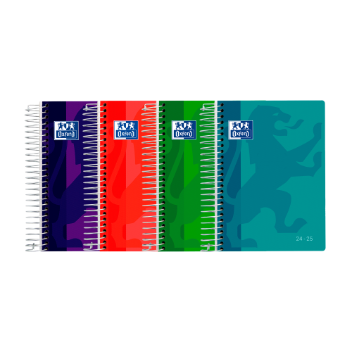 15234-AGENDA ESCOLAR 2024-2025 SCHOOL TAPA PLASTICO 8o DIA PAGINA COLORES SURTIDOS OXFORD 400185042