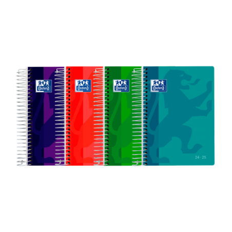 15234-AGENDA ESCOLAR 2024-2025 SCHOOL TAPA PLASTICO 8o DIA PAGINA COLORES SURTIDOS OXFORD 400185042