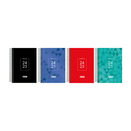 15241-AGENDA ESCOLAR 2024-2025 IDENTITY TAPA EXTRADURA 8o DIA PAGINA COLORES SURTIDOS ENRI 400185080