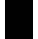 1584-CAJA DE 100 CUBIERTAS POLIPROPILENO FORMATO A4 DE 300 MICRAS COLOR NEGRO GBC IB386831