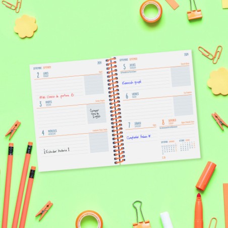 16967-AGENDA ESCOLAR 2024-2025 8o 120X164 SEMANA VISTA HORIZONTAL DIVA FRUITS FINOCAM 536100325