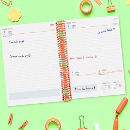 16975-AGENDA ESCOLAR 2024-2025 4o 155X212 1 DIA PAGINA DIVA FRUITS FINOCAM 536160325