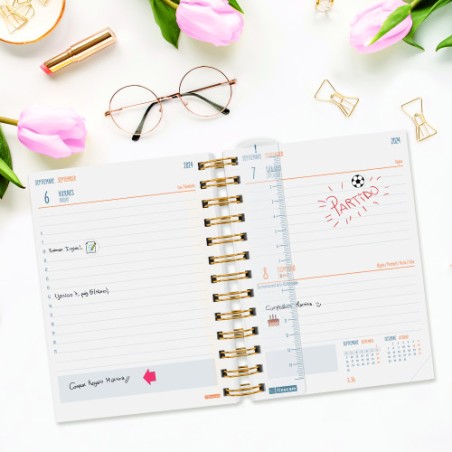 17027-AGENDA ESCOLAR 2024-2025 8o 120X169 1 DIA PAGINA MINI-INSTITUT PANTERA FINOCAM 530204025