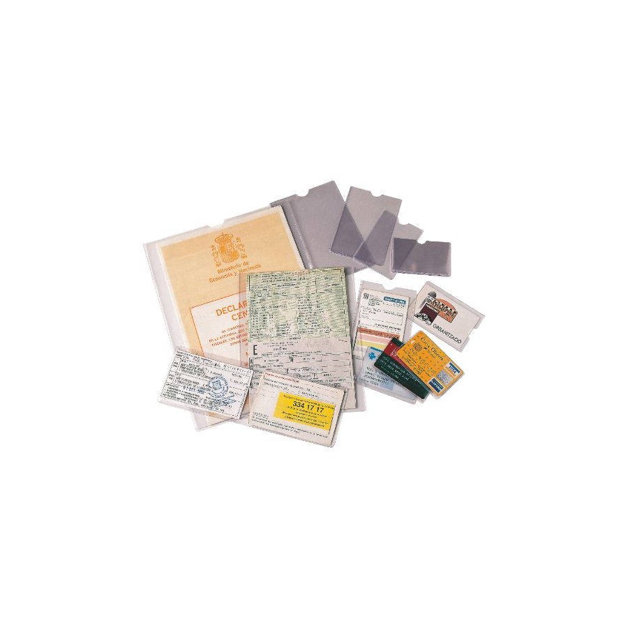 1737-CAJA 100 FUNDAS PORTACARNETS EN PVC FORMATO (232X305 MM.) TRANSPARENTE ESSELTE 46012