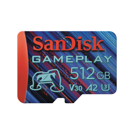 17668-SanDisk SDSQXAV-256G-GN6XN memoria flash 256 GB MicroSD UHS-I