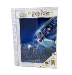 17948-PUZZLE-LIBRO LENTICULAR HARRY POTTER Y RON EN EL F PRIME 3D REDSTRING 35628