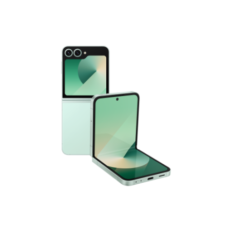18091-Samsung Galaxy Z Flip6
