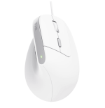 18980-Trust Bayo II raton Oficina mano derecha USB tipo A Optico 2400 DPI