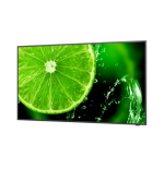 20747-NEC MultiSync E438 Pantalla plana para senalizacion digital 108 cm (42.5") LCD 350 cd / m2 4K Ultra HD Negro 16/7