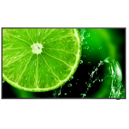 20748-NEC MultiSync E498 124,5 cm (49") IPS 350 cd / m2 4K Ultra HD Negro 16/7