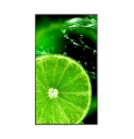 20759-NEC MultiSync E988 Pantalla plana para senalizacion digital 2,48 m (97.5") LCD 350 cd / m2 4K Ultra HD Negro 24/7