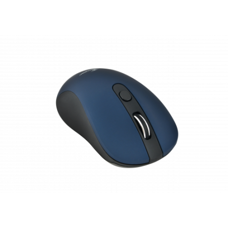 22740-Bluestork M-WL-OFF60 raton Ambidextro RF inalambrico Optico 1600 DPI