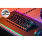 22829-Steelseries APEX 3 TKL teclado USB QWERTY Ingles de EE. UU. Negro