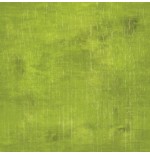 23704-Cricut 2007515 vinilo de transferencia termica Lamina de vinilo de transferencia termica Vinilo de termotransferen