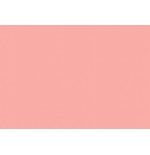 23760-Cricut Everyday Iron-on Lamina de vinilo de transferencia termica