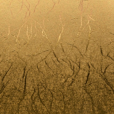 23964-Cricut 2007741 vinilo de transferencia termica Rollo de vinilo de termotransferencia