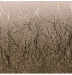 23968-Cricut Textured Metallic Sampler, Precious Metals - Permanent Lamina de vinilo de transferencia termica 3 hojas