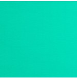 24259-Cricut 2008362 vinilo de transferencia termica Lamina de vinilo de transferencia termica Vinilo de termotransferen