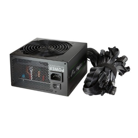 24813-FSP HP2-600 unidad de fuente de alimentacion 600 W 24-pin ATX ATX Negro