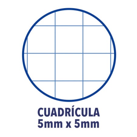 25300-Oxford Europeanbook 1 cuaderno y block A4+ 80 hojas Azul