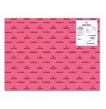 25345-PACK 25 HOJAS CARTULINA IRIS 50X65 185G FUCSIA CANSON C200040226
