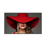 25626-Philips 50BDL4650D Pantalla plana para senalizacion digital 127 cm (50") LCD Wifi 500 cd / m2 4K Ultra HD Negro Pr