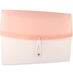 2646-CARPETA ACORDEON DISENO CON 13 COMPARTIMENTOS COLOR DREAM ROSA TARIFOLD 511323