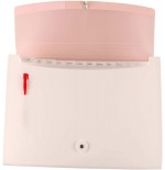 2647-CARPETA ACORDEON DISENO CON 13 COMPARTIMENTOS COLOR DREAM ROSA TARIFOLD 511323