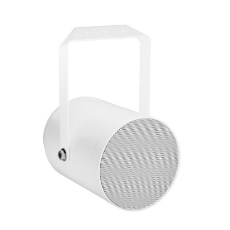 27311-LD SYSTEMS INTEGRATION SERIE CONTRACTOR (LDCEP10) 10 W PROJECTOR LOUDSPEAKER WARRANTY 5 YEARS (PU8)