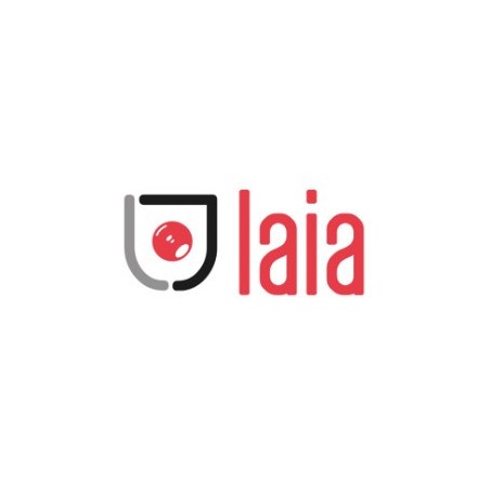 28115-LAIA SOPORTE UNIVERSAL DE PARED DE HIERRO NEGRO GALVANIZADO (SWM)