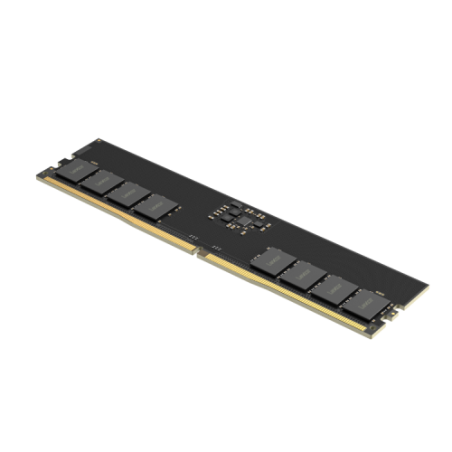 29201-Lexar LD5U32G56C46ST-BGS modulo de memoria 32 GB 1 x 32 GB DDR5 5600 MT/s ECC