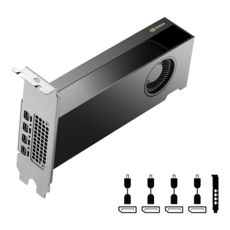 29476-PNY NVIDIA RTX 2000 Ada Generation 16 GB GDDR6