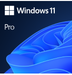 31132-Microsoft Windows 11 Pro 1 licencia(s)