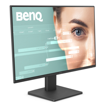 31189-BENQ GW2491 23.8" LED IPS FULLHD 100HZ