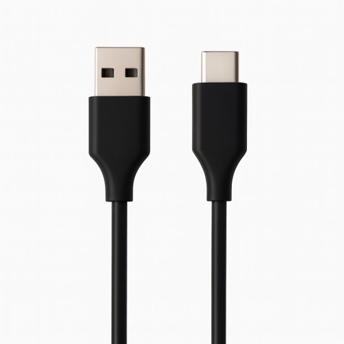 31251-Ewent EC1131 cable USB USB 2.0 2 m USB A USB C Negro