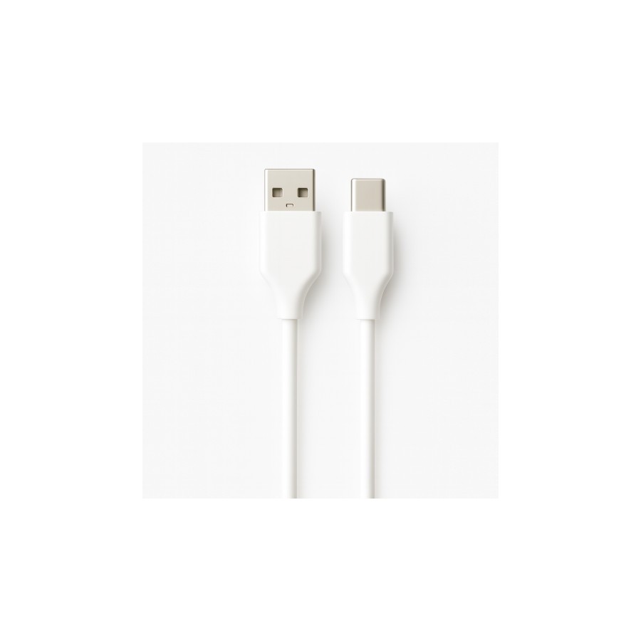 31253-Ewent EC1133 cable USB USB 2.0 2 m USB A USB C Blanco