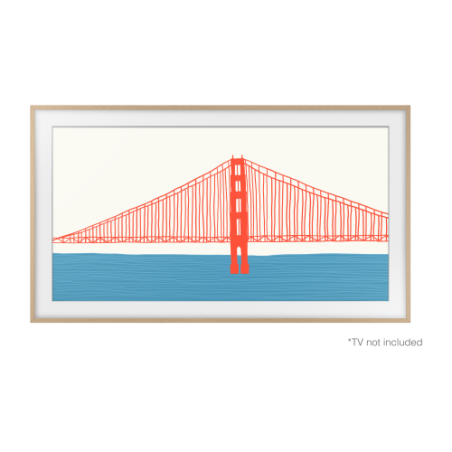 31262-Samsung VG-SCFA55TKB/XC accesorio para televisor