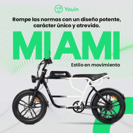33053-YOUIN E-BIKE URBAN STYLE FAT 2