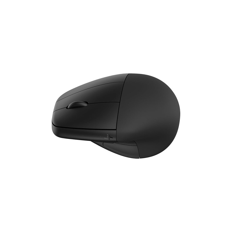 33986-HP Raton 245 Bluetooth